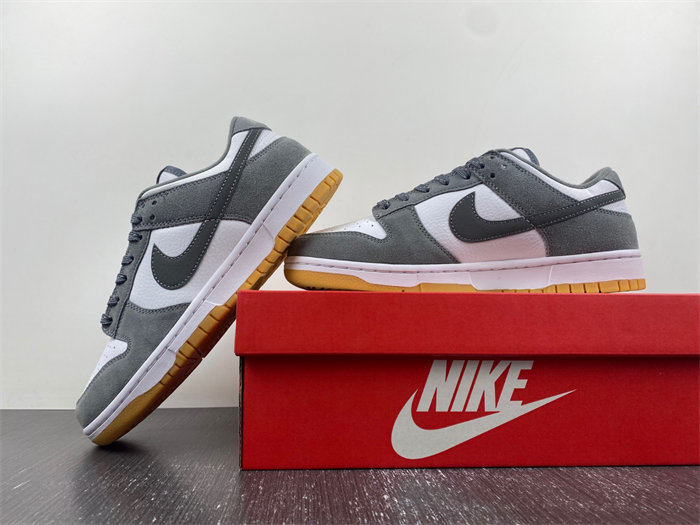 Nike Dunk Low  FV0389-100