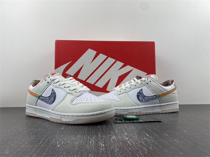 Nike Dunk Low GS  FN8913-141