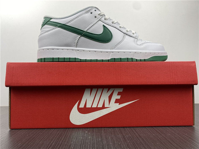 Nike Dunk Low DD1503-112