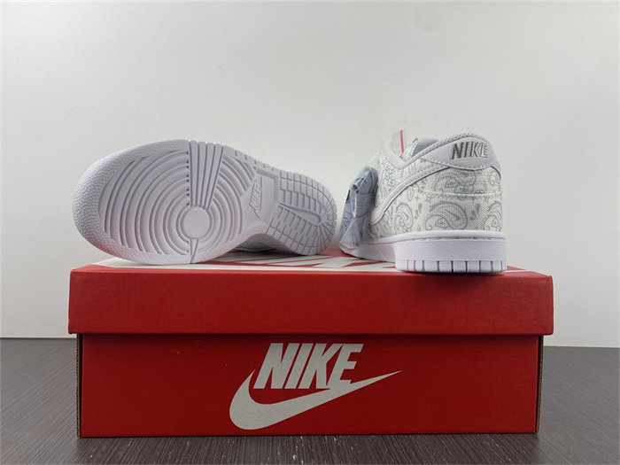 Nike Dunk Low Ice DO2326-001