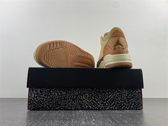 Air Jordan 3 CT8532-102