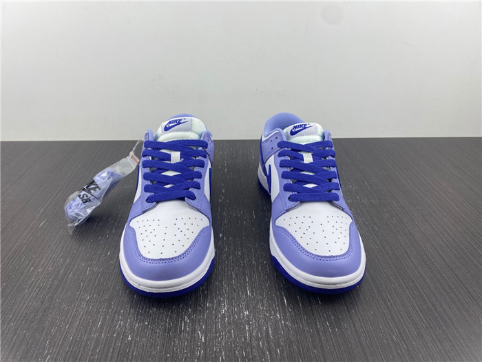 Nike Dunk Low Blueberry DZ4456-100