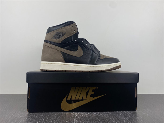 Jordan 1 Retro High OG Palomino DZ5485-020