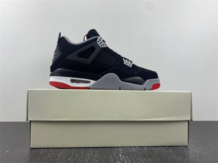 Nike SB x r Jordan 4 DR5415-060