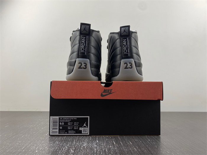 Jordan 12 Retro Stealth CT8013-019