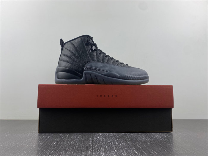 Air Jordan 12