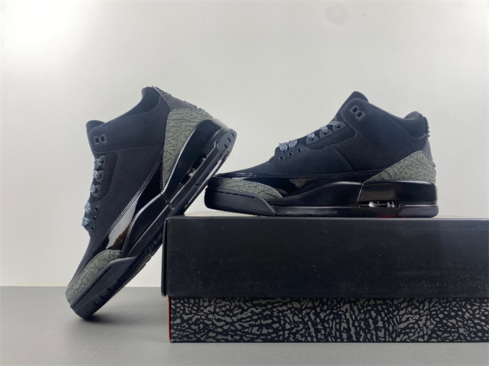 Air Jordan 3  black cat   CK9246-168