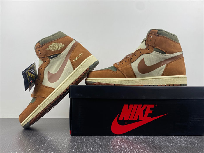 AJ1 Gore-Tex Jordan 1 High DB2889-100