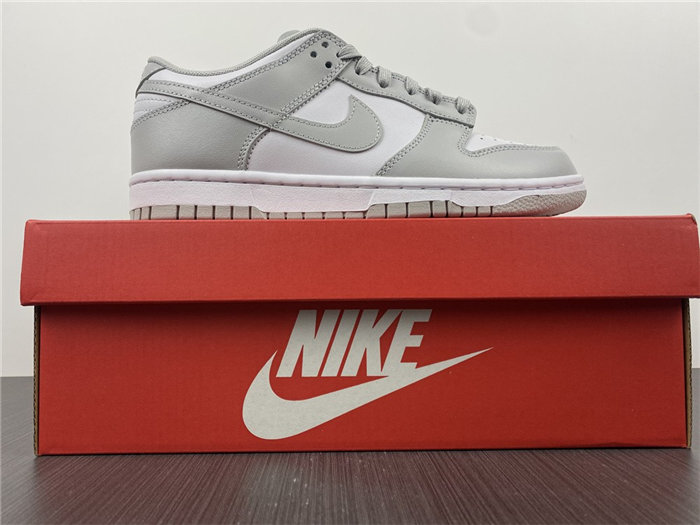 NIKE DUNK LOW RETRO DD1391-103