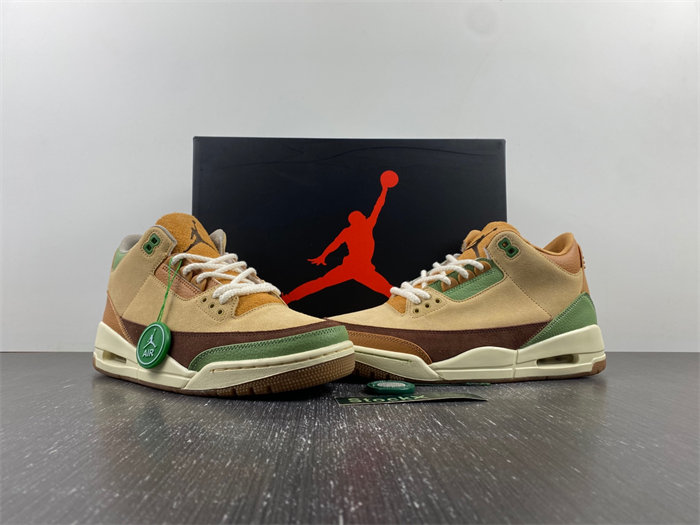 Air Jordan 3 CT8532-102