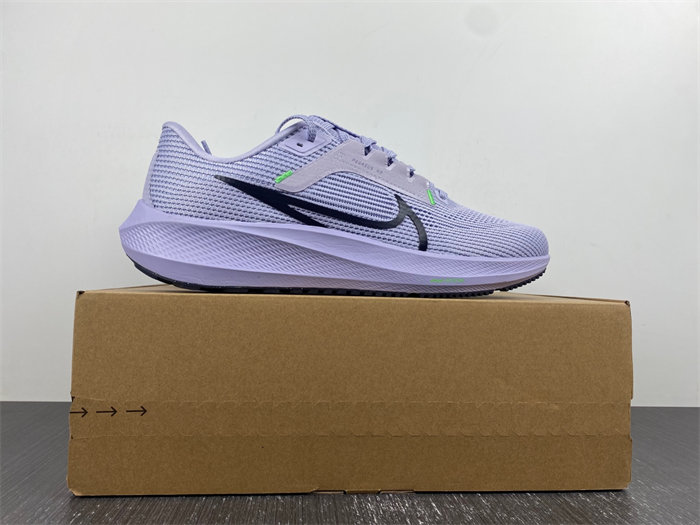 Nike Pegasus  DV3853-500