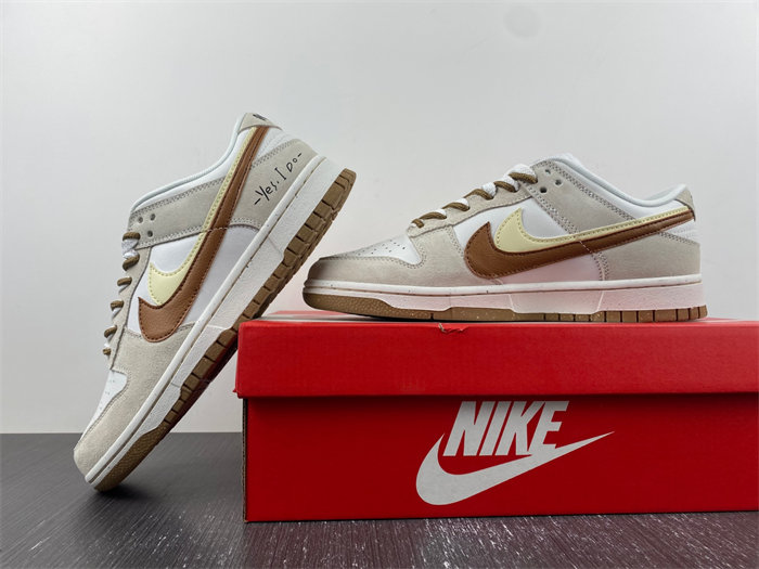 Nike SB Dunk DO9457-100