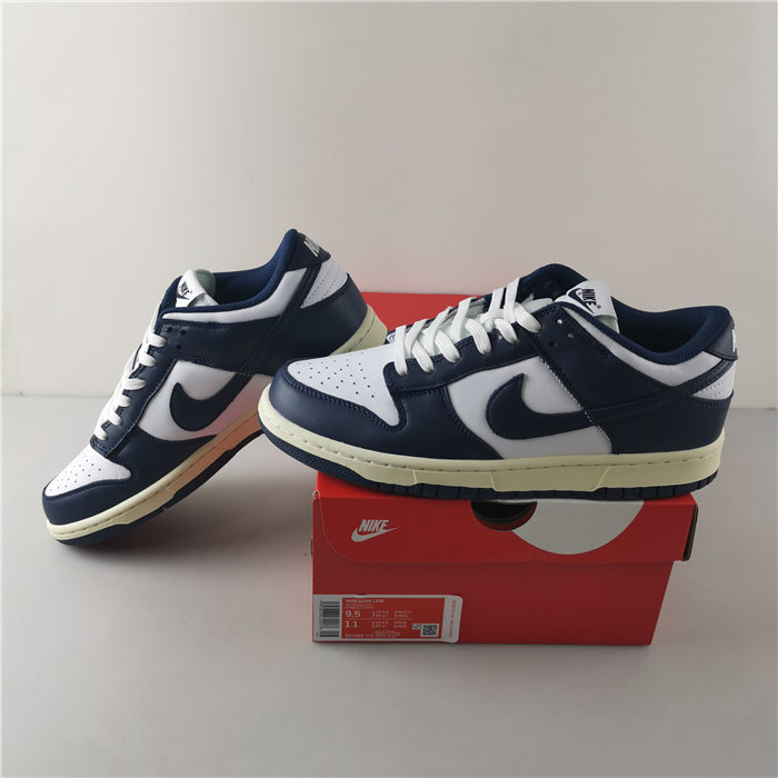 Nike Dunk Low DD1503-115