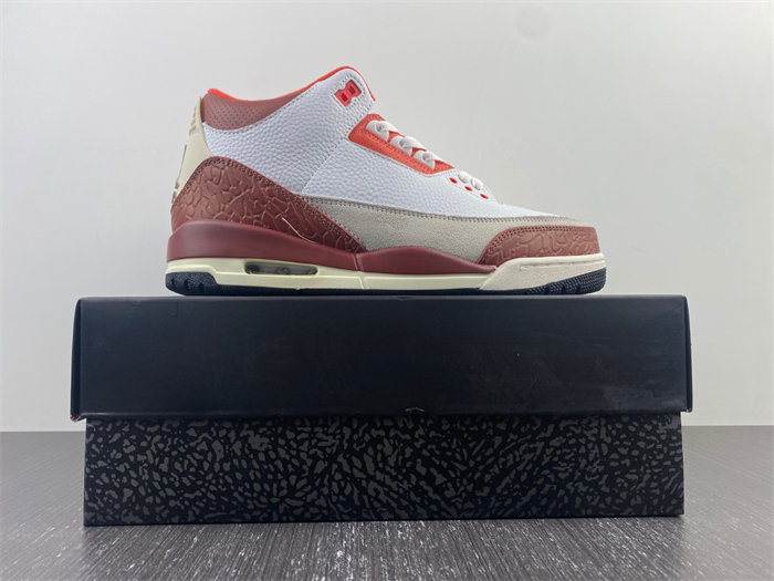 Jordan 3 Retro SE Dunk on Mars DV7082-108