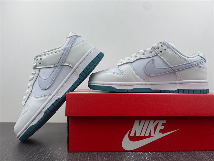 Nike DUNK LOW  FD9911-101