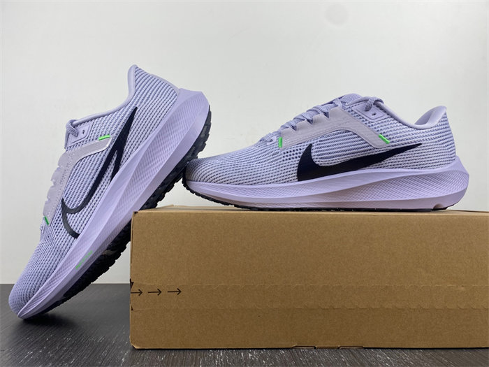 Nike Pegasus  DV3853-500