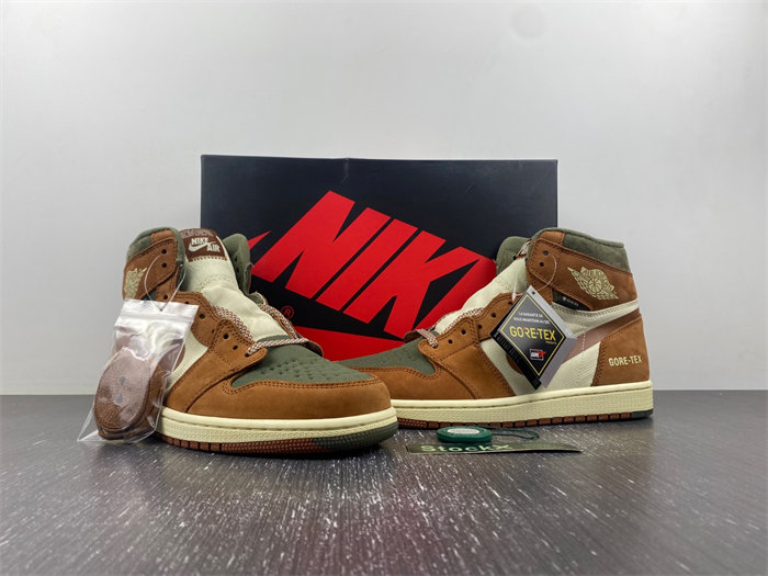 AJ1 Gore-Tex Jordan 1 High DB2889-100