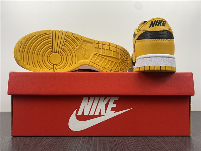 The Nike Dunk Low Takes on a Familiar “Goldenrod” Colorwa DD1391-004