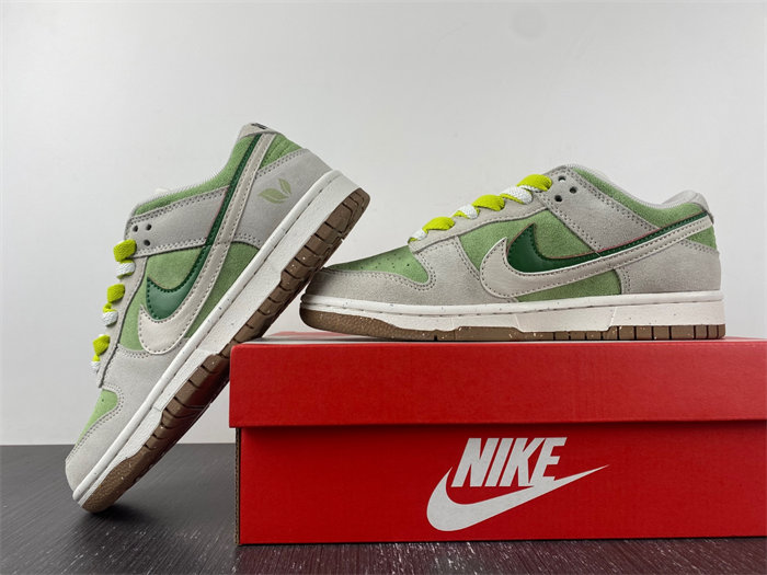 Nike SB Dunk DO9457-100.9