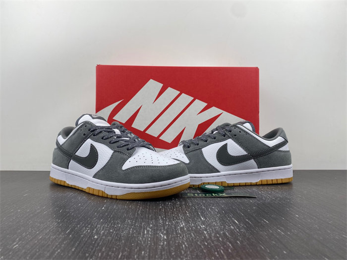 Nike Dunk Low  FV0389-100