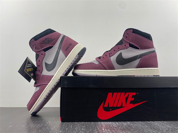 Jordan 1 High Element Gore-Tex Berry DB2889-500