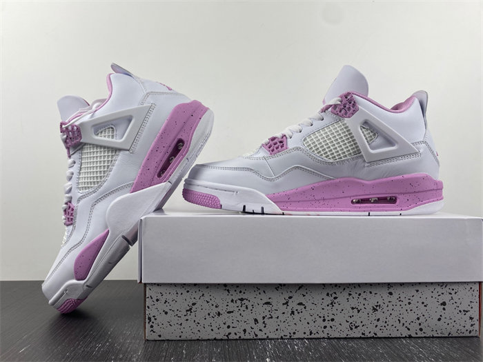 Air Jordan 4 CT8527-116