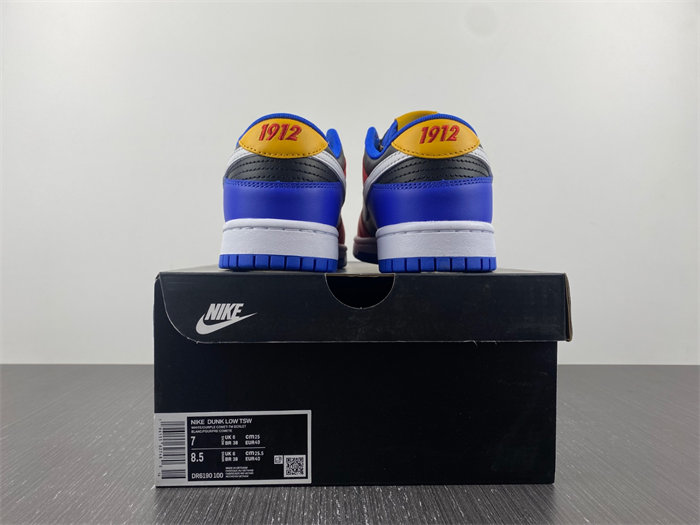 Nike Dunk Low Tennessee State University DR6190-100