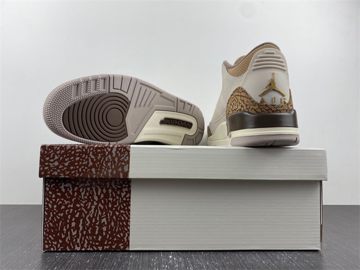 Air Jordan 3 “Palomino” CT8532-102