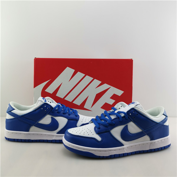 NIKE DUNK LOW RETRO SP