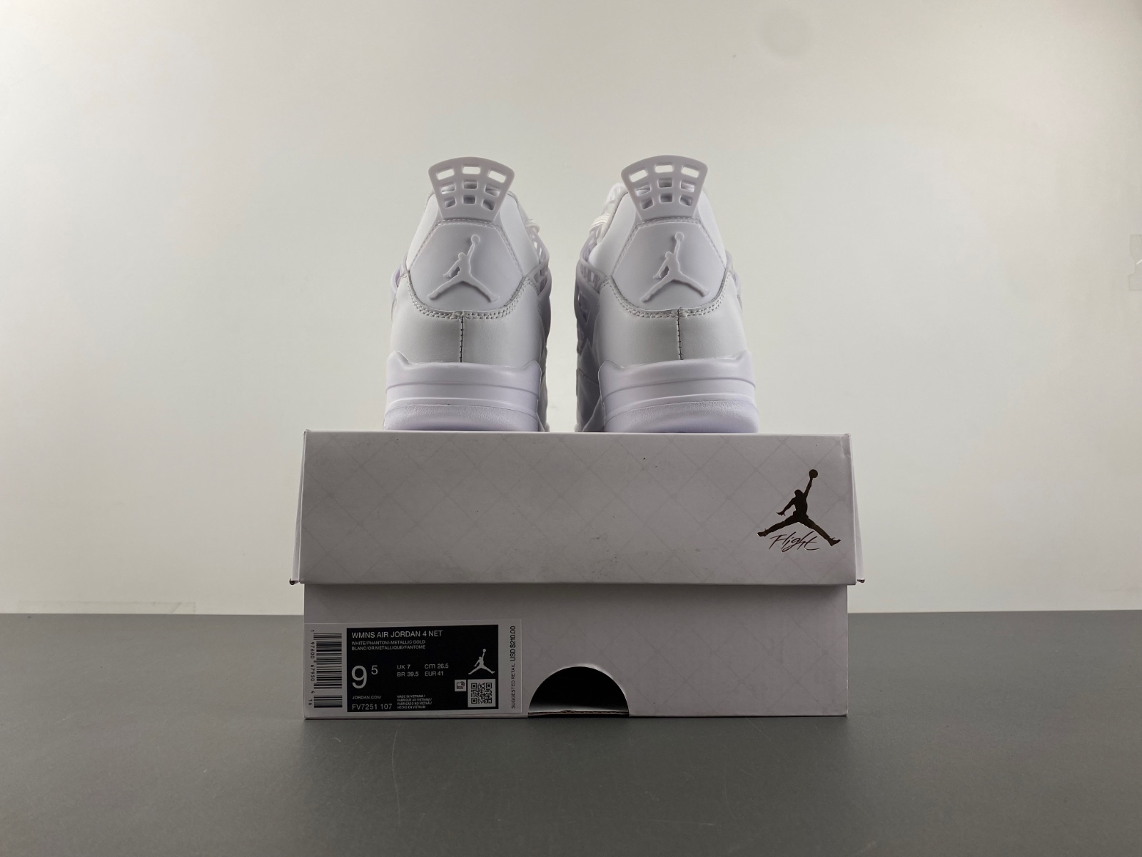 Air Jordan 4  FV7251-107