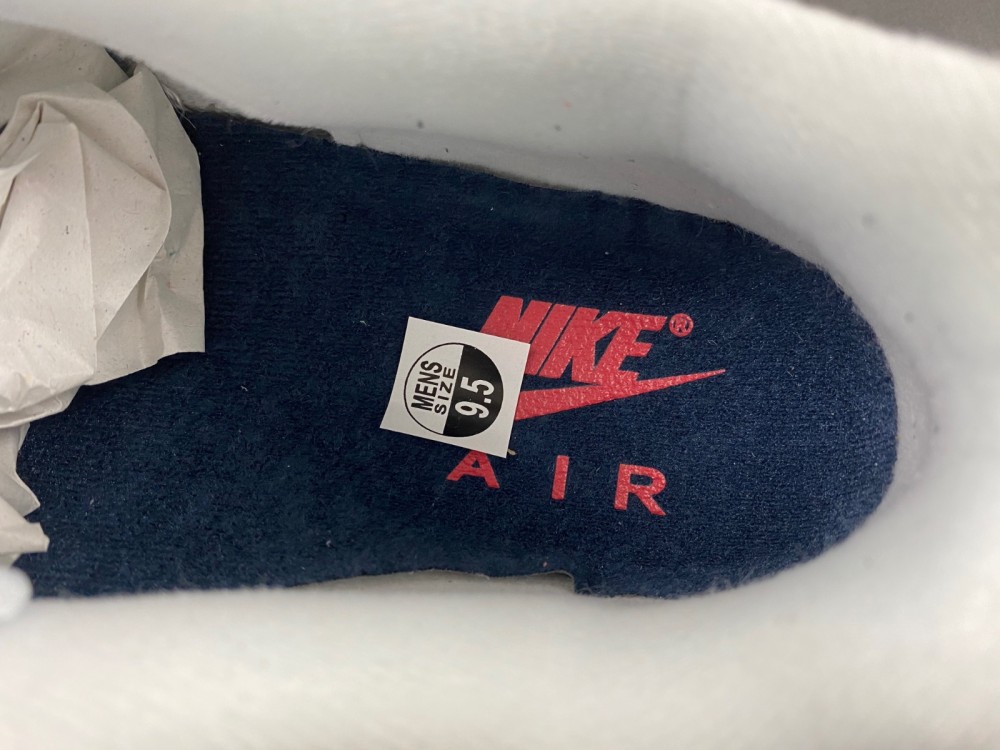 Nike Air Max 1  DH1348-146