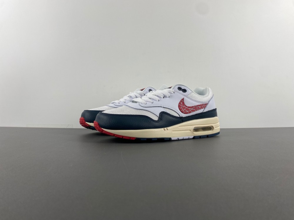 Nike Air Max 1  DH1348-146