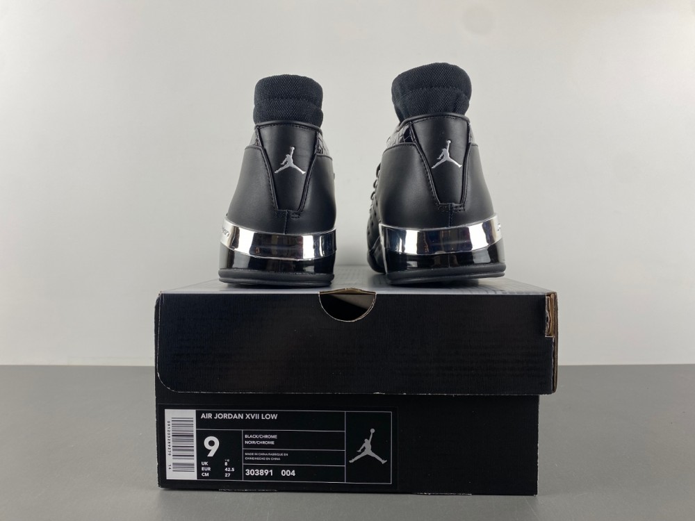 Air Jordan 17 OG  303891-004