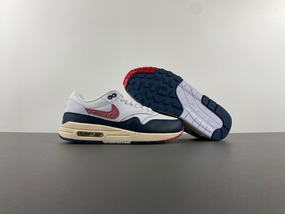 Nike Air Max 1  DH1348-146
