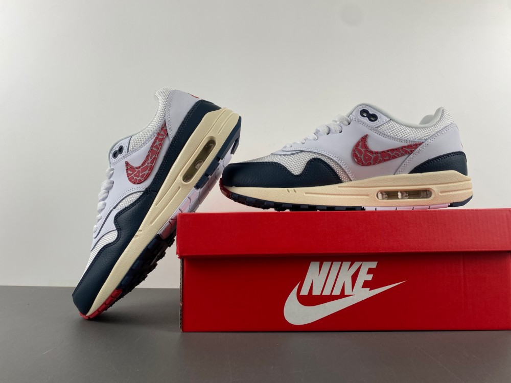 Nike Air Max 1  DH1348-146
