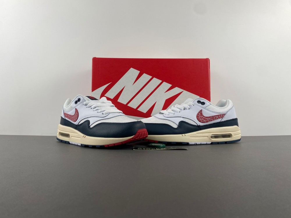 Nike Air Max 1  DH1348-146