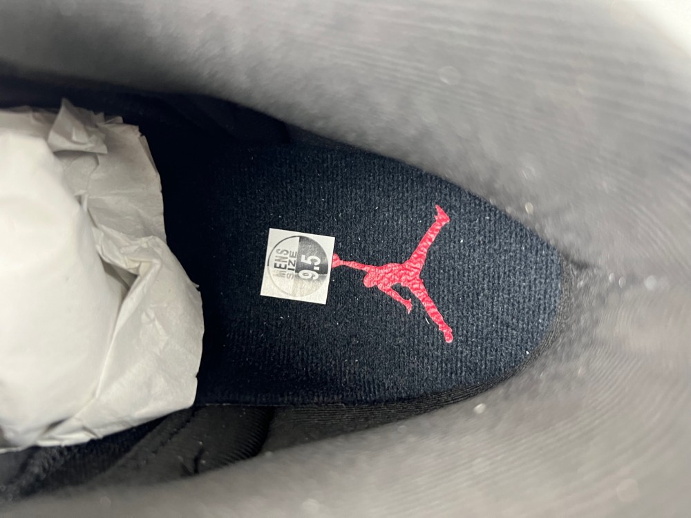 Air Jordan AJ12   2025 130690-002