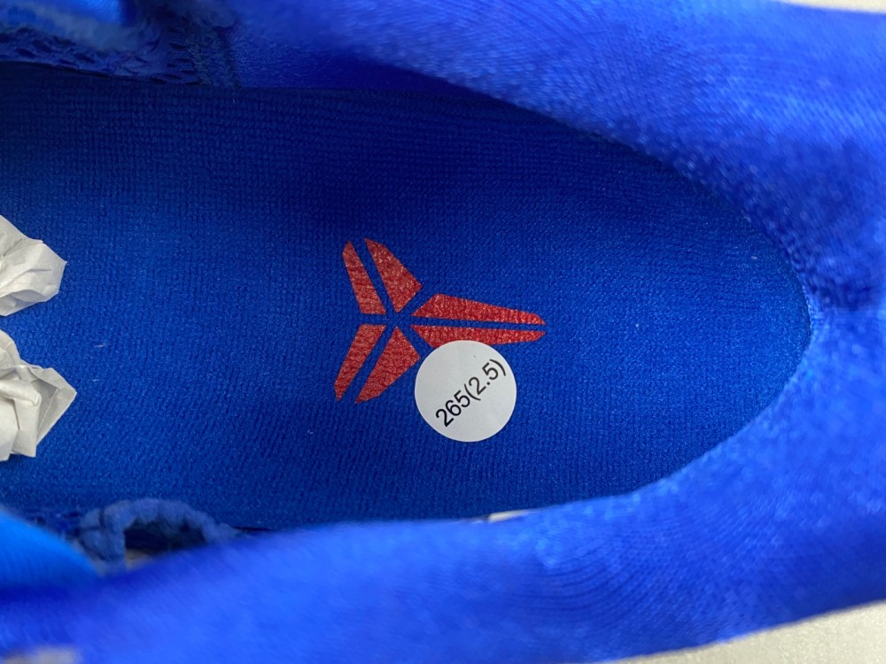 Nike Kobe 6 Protro “Dodgers” CW2190-400