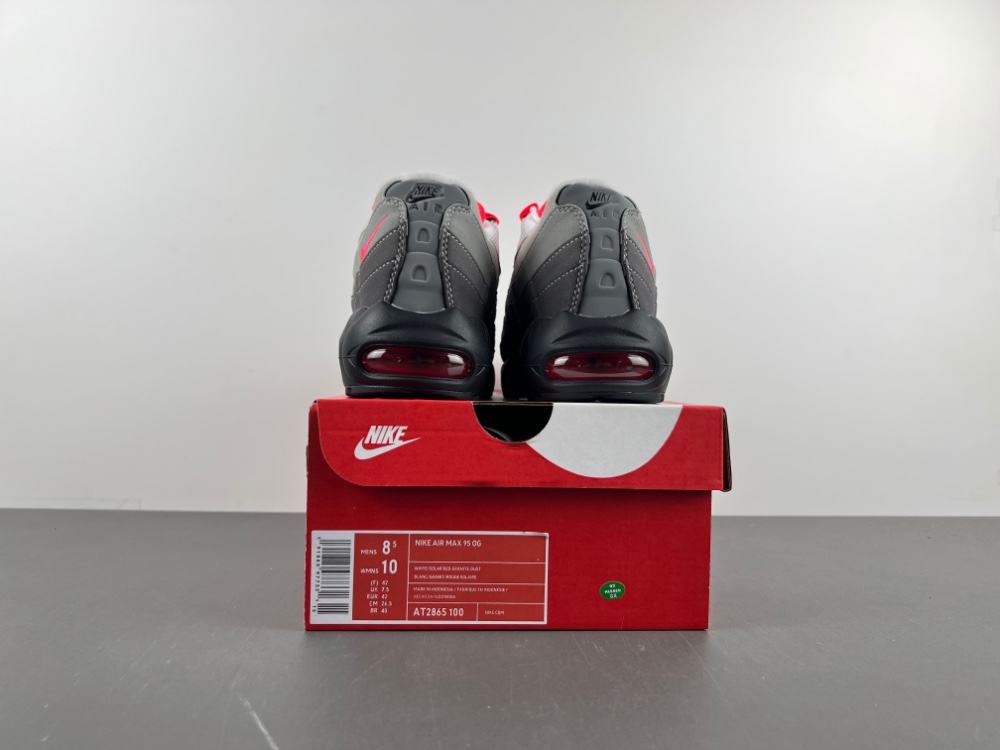 Air Max 95  AT2865-100