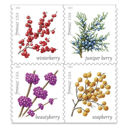 Winter Berries Forever Stamps 2019