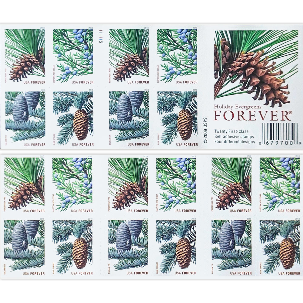 Holiday Evergreen