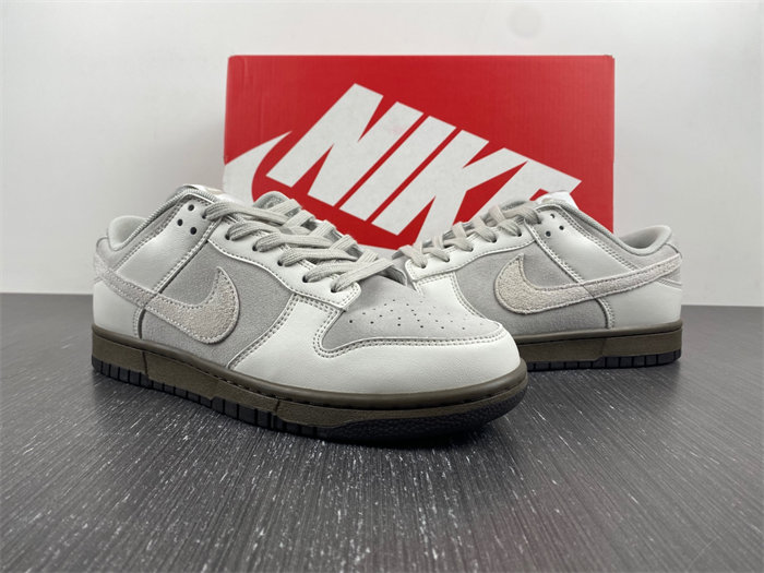 Nike Dunk Low “Ironstone” FD9746-001.0