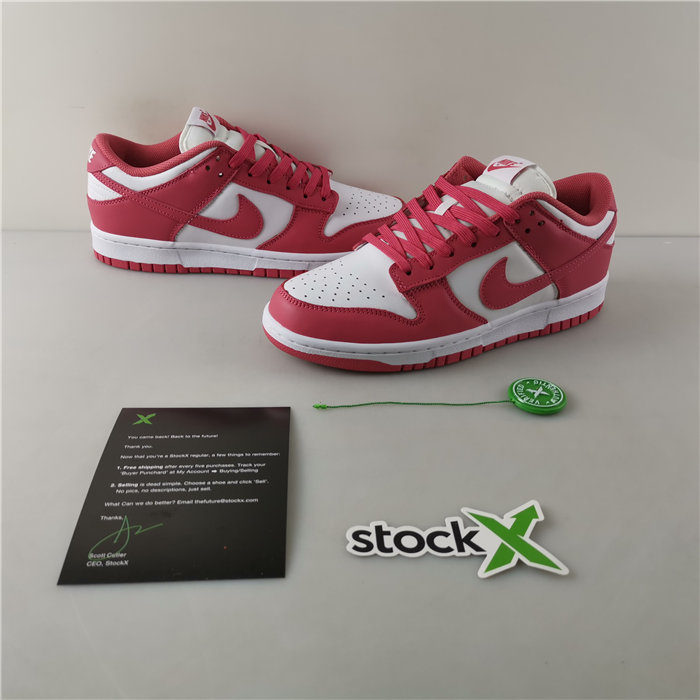 Nike Dunk Low DD1503-111