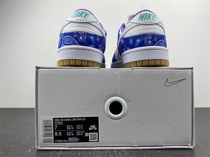 Nike SB Dunk Low Retro SP CT5053-041