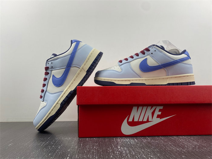 Nike Dunk Low “From Nike To You” FV8113-141