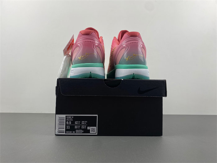 Zoom Kobe 6 ZK6  CM2190-201