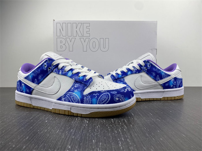 Nike SB Dunk Low Retro SP CT5053-041