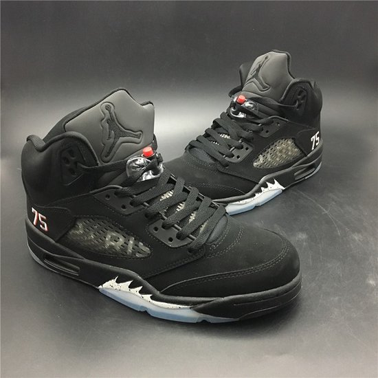 Air Jordan 5 “Paris” 2018 FIFA 3M