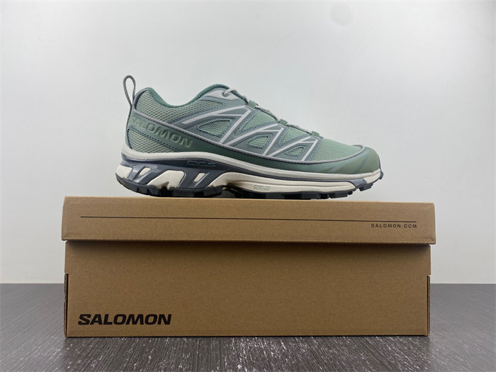 Salomon 47134