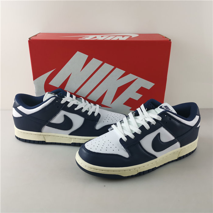 Nike Dunk Low DD1503-115